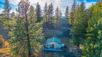 Photo of 20 Acres with Hunting Cabin and Scenic Views in Malo, Washington