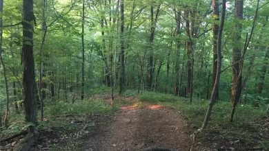 Photo of 67 Acres of Land for Sale in Ravenswood, West Virginia