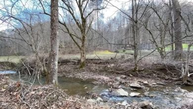 Photo of 103-Acre Property for Sale in Booneville, Kentucky