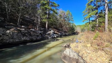 Photo of 21 Acres of Remote Wilderness in Heavener, Oklahoma