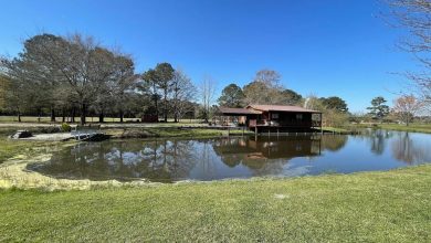 Photo of Cozy Home on 0.75 Acres for Sale in Jamesville, North Carolina