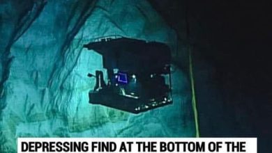 Photo of Depressing find at the bottom of the Mariana Trench is a warning to the world