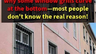 Photo of Here’s Why Some Window Grills Have a Curved Bottom