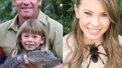 Photo of Prayers are needed for Steve Irwin’s daughter Bindi. She is on her way to recovery but…!!