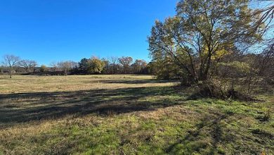 Photo of Country Retreat on 10 Acres: Mountain Views & Recreational Opportunities $44,500