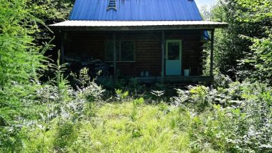 Photo of 174-Acre Property with Off-Grid Log Cabin in Owls Head, New York