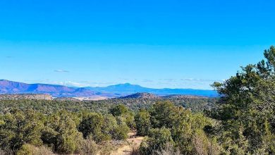 Photo of 40.57 Acres of Scenic Land in Seligman, Arizona