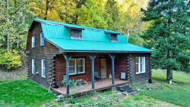 Photo of Rustic Log Cabin on 74.5 Acres in Sistersville, West Virginia