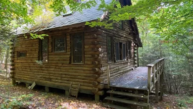 Photo of Secluded Off-the-Grid Log Cabin on 24.6 Acres – A Nature Lover’s Dream Retreat