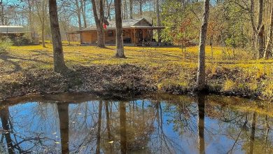 Photo of Cozy Cabin Retreat in Colmesneil, Texas – A Perfect Nature Escape