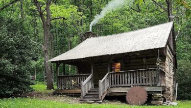 Photo of 1-Bedroom Cabin on 19 Acres for Sale in Ferrum, Virginia