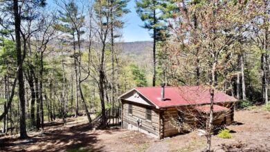Photo of Charming 2-Bed Cabin on 4 Acres in Purlear, North Carolina