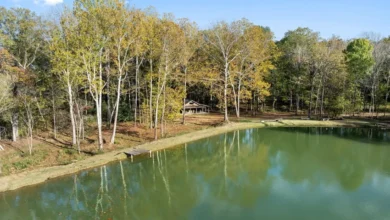 Photo of Serene Cabin on 7 Acres with Stocked Pond. $145,000