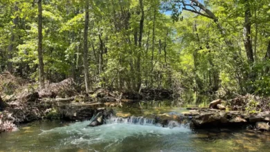 Photo of Mountain Escape with Cabin & Creek on 40 Acres. $159,000, Oklahoma