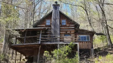 Photo of Brown Mountain Retreat on 328 Pristine Acres of Appalachian Wilderness