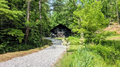 Photo of 3 Bedroom Cabin on 24 Acres in Annville, Kentucky