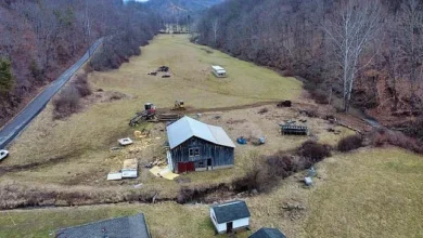 Photo of Expansive Property with Scenic Landscapes & Cleared Land on 288 Acres
