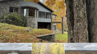 Photo of Secluded Waterfront Haven – Nature-Lover’s Dream Escape for Sale