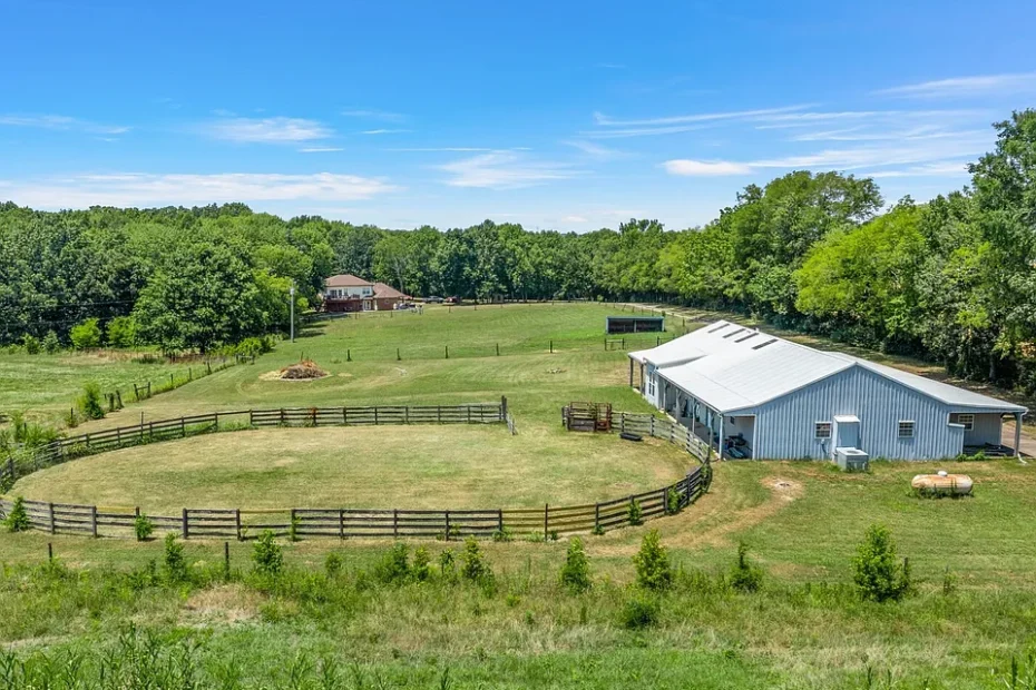 Photo of A Dream for Equestrians & a Developer’s Haven