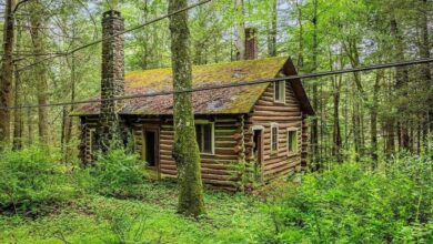 Photo of Cozy 1938 Log Cabin Retreat Overlooking Marshalls Creek