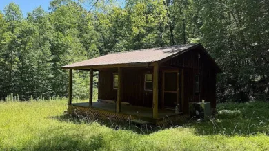 Photo of 116 Acres!! Untamed Kentucky Beauty with Endless Potential. $249,000