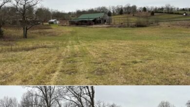 Photo of 46 Acres of Usable Land for Lease in Shelby County