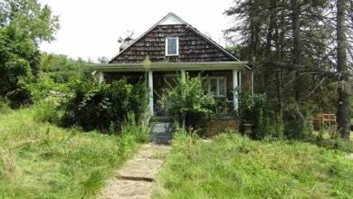 Photo of Excellent Investment Opportunity – Only $2,900
