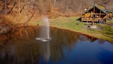 Photo of Serene Country Living at 201 Basket Brook Road, Long Eddy