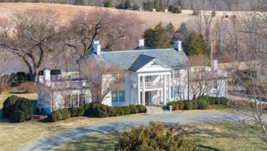 Photo of Located in the Heart of Bucolic Southern Albemarle, Surrounded by Other Notable Properties