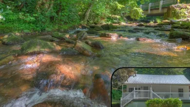 Photo of $180,000 – Historic 1921 Farmhouse on 7.2 Acres with Trout-Stocked Creek in Andrews, NC