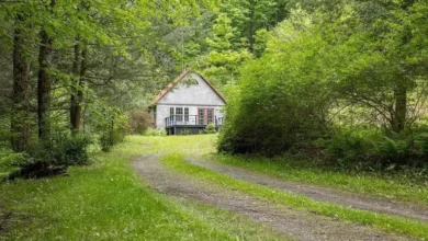 Photo of Back to Nature: A Cozy Cabin Getaway in the Heart of Wellsboro’s Scenic Hills
