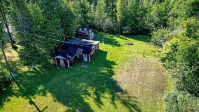 Photo of 1-Acre Parcel with Utilities, Apple Trees, Cabin, and Direct Access to 660 Acres of State Land