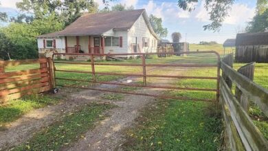Photo of Versatile Farm Property on 17.22 Acres in Peaceful Clarkridge, Arkansas