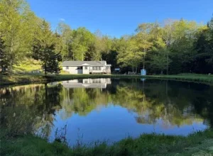 Photo of Tranquil 10-Acre Retreat in Historic Willowemoc — Where Nature, History & Comfort Converge