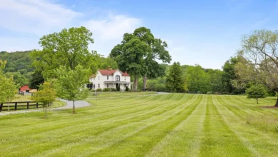 Photo of Cedar Mountain Farm: A Historic and Scenic Estate in the Heart of Virginia’s Hunt Country