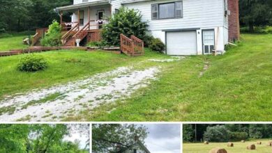 Photo of Charming Farmette on 12.6 Acres – Liberty Township, PA