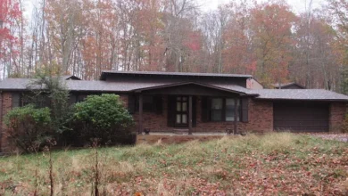 Photo of Peaceful Country Living Surrounded by Nature