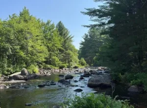 Photo of Handyman Special – 4-Bedroom Home with River Views!