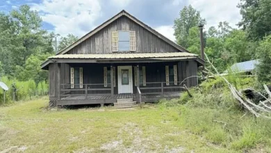 Photo of Charming Small Farm Property
