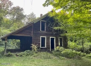 Photo of A Rare Find in the Adirondacks
