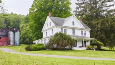 Photo of Discover Tranquility, History, and Endless Possibilities at 54 Davis Lane, Grahamsville, NY