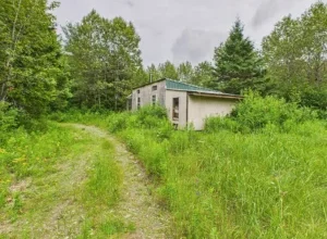 Photo of Off-Grid Wilderness Camp on 24 Acres