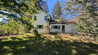 Photo of Unique 6.4-Acre Property with Stocked Trout Stream