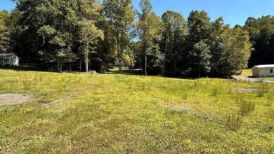 Photo of 50-Acre Property Near Summersville Lake and New River Gorge, West Virginia
