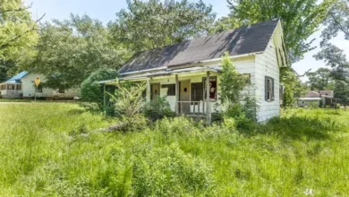 Photo of Blank Canvas with Endless Potential