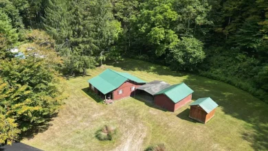 Photo of nestled on over 12 acres of untouched timberland