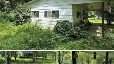 Photo of Opportunity Awaits on 3.3 Acres