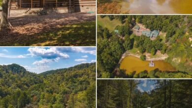 Photo of Brooks Lodge on 588 Acres in Mooresburg, Tennessee