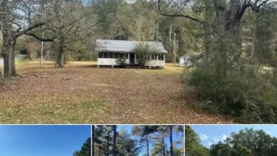 Photo of 21.58 Acres with Multiple Ponds, Pines, and Endless Potential in Osyka, Mississippi