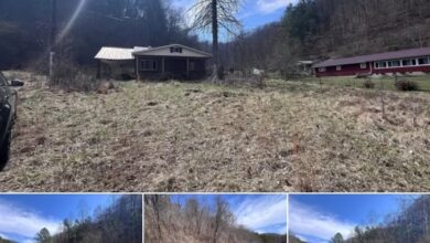 Photo of Historic 2-Bedroom Brick Home with Creekside Acreage in Pinsonfork, Kentucky